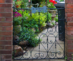 Garden Gates Paisley